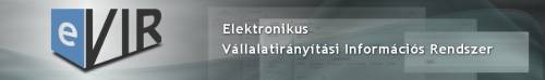 evir-header.jpg